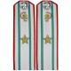 Медицинская служба ВМФ СССР. Старший офицерский состава  (без военно-медицинского образования), погоны обр. 1943 г.